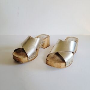 Dolce Vita Metallic Silver Leather Clogs Size 7.5 Retro Bohemian Wood Open Toe